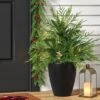 24" Pre-Lit Christmas Norfolk Cedar Artificial Greenery With Ground Stake - Wondershop™ -Christmas Supply Store GUEST 0524454d 42c0 4baa a1ff 1071bb7b5d74