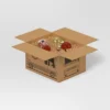 5"x4.75" Bullseye Delivery Truck Christmas Gift Box - Wondershop™ 1 5"x4.75" Bullseye Delivery Truck Christmas Gift Box - Wondershop™ -Christmas Supply Store GUEST 6b43c54a 8f0a 4eb2 bd3a 383d7c5b089c
