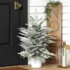 3' Pre-Lit Potted Flocked And Glittered Norfolk Artificial Christmas Tree - Wondershop™ -Christmas Supply Store GUEST 6f9df63f d6f9 48b6 82ce 43fbb803932e