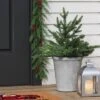 20" Pre-lit LED Battery Operated Mixed Pine Mini Christmas Artificial Pot Filler Warm White Lights - Wondershop™: Indoor/Outdoor -Christmas Supply Store GUEST 8dc5022d d693 44e3 bc72 c2ca704d3d97