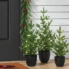 Pre-lit Potted Balsam Fir Mini Artificial Christmas Tree Set Warm White Lights - Wondershop™ 2 Pre-lit Potted Balsam Fir Mini Artificial Christmas Tree Set Warm White Lights - Wondershop™ -Christmas Supply Store GUEST af46b757 b950 4a1d ad17 04fdeb7728bd