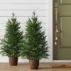 2pc 3' Pre-Lit Potted Balsam Fir Artificial Christmas Trees Warm LED White Lights - Wondershop™ 2 2pc 3' Pre-Lit Potted Balsam Fir Artificial Christmas Trees Warm LED White Lights - Wondershop™ -Christmas Supply Store GUEST bafd6766 a2fc 4c0c a392 af7072b314af