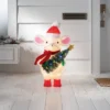 Incandescent Tinsel Mouse Christmas Novelty Sculpture Light With Clear/Multicolor Light Bulb - Wondershop™ -Christmas Supply Store GUEST d0871e27 6bd8 4346 8ac2 1f7f18898994