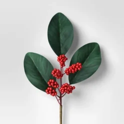 4pc Christmas Pick Set 2 Magnolia Leaf 2 Red Poinsettia - Wondershop™ 7 4pc Christmas Pick Set 2 Magnolia Leaf 2 Red Poinsettia - Wondershop™ -Christmas Supply Store GUEST f4255727 4432 43e9 bc15 cf1d5326592b